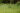Inland-Temperate-Rainforest-TheNarwhal-0011