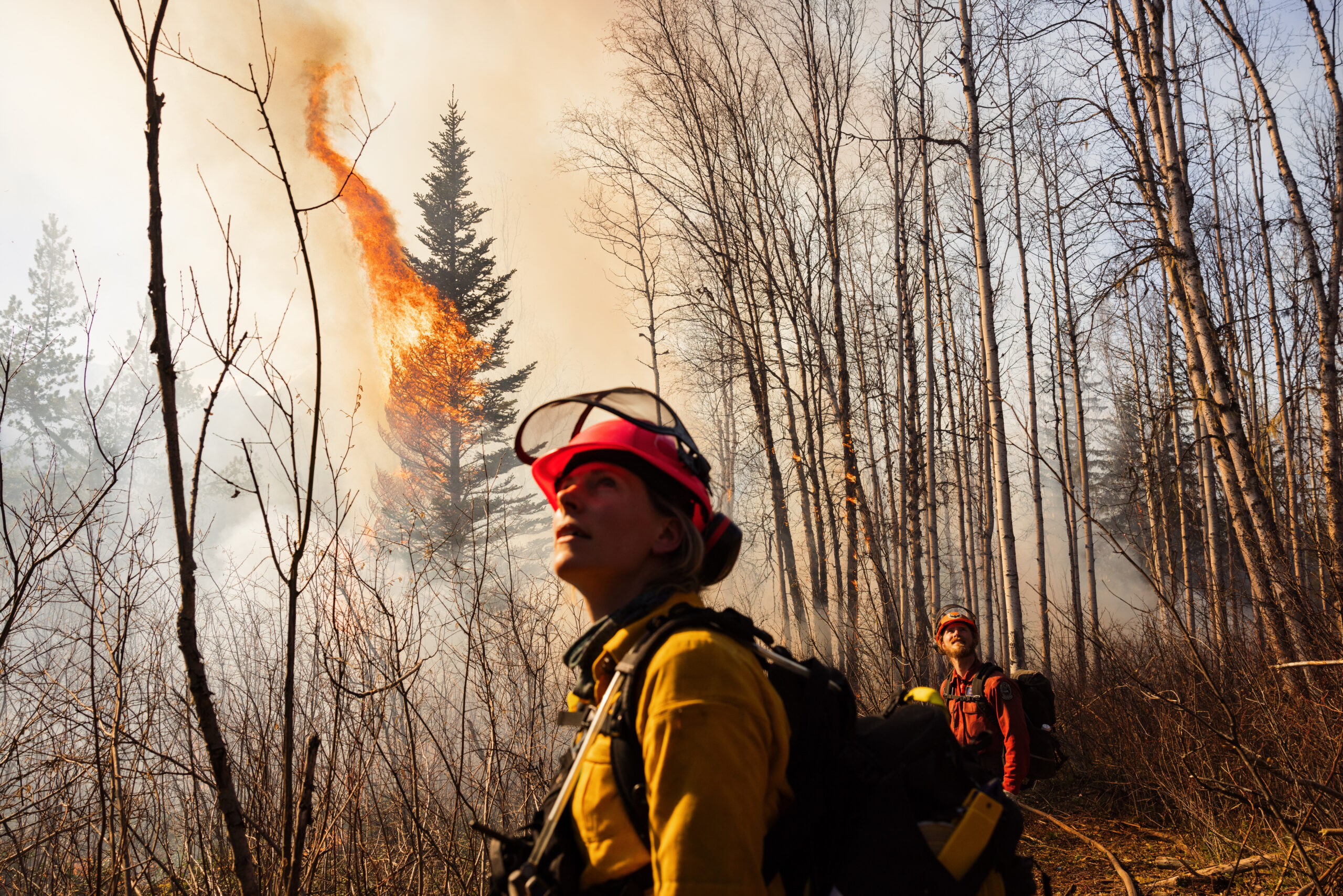 A tree candles behind fire ecologist Kira Hoffman and a BC Wildfire Service firefighter