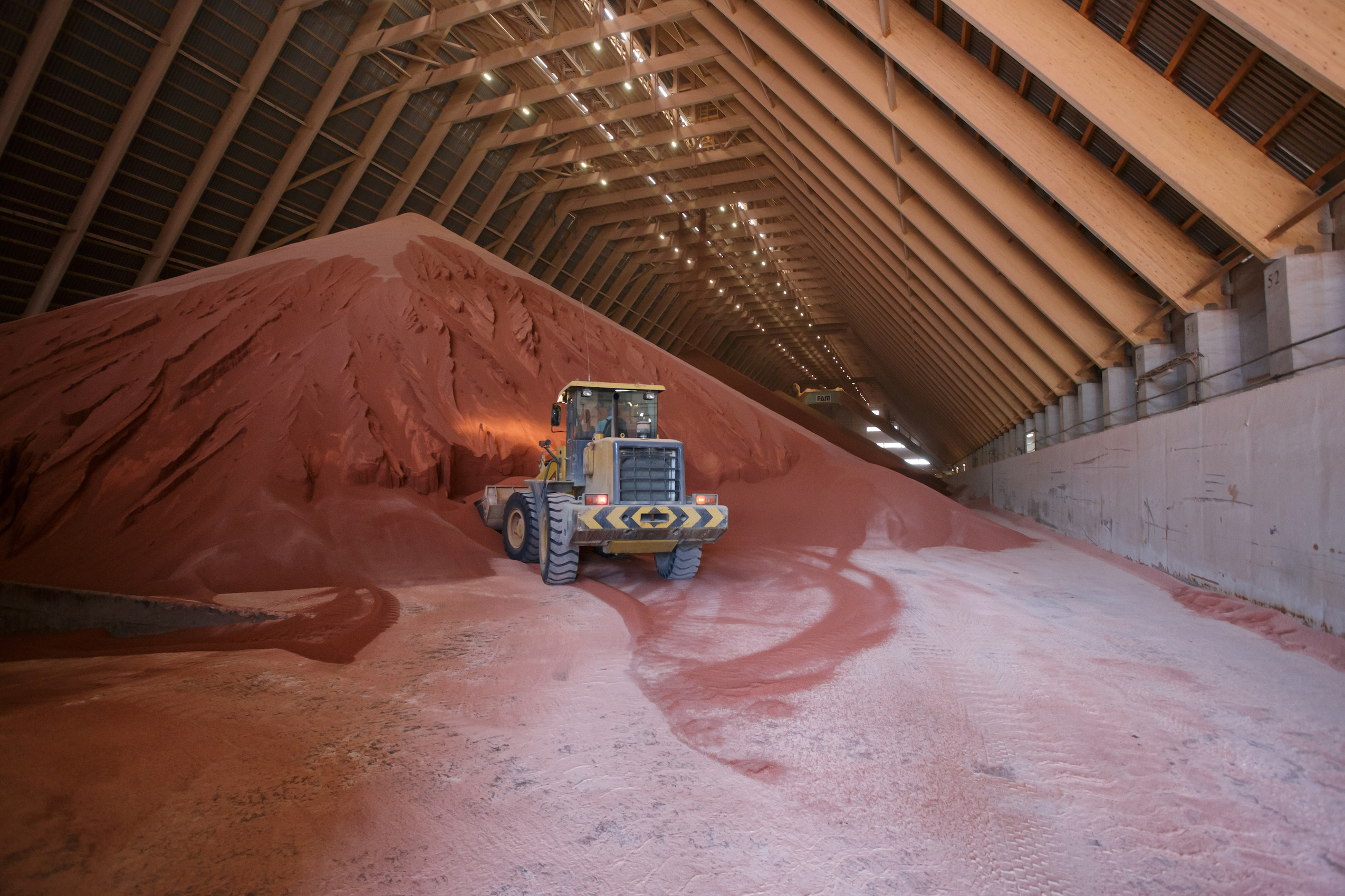 A yellow loading machine scoops potash, a pink, sand-like material, from a tall pile inside a warehouse